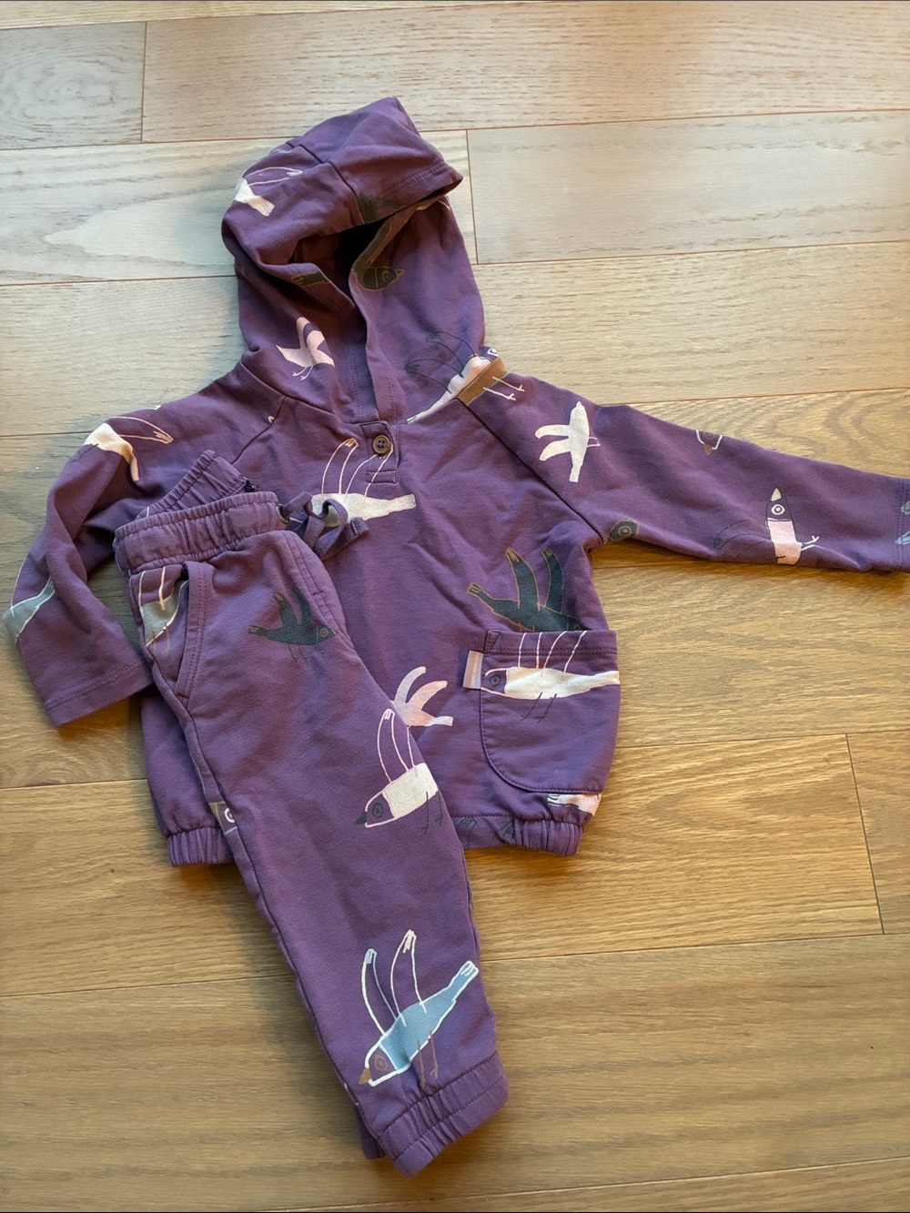 Souris Mini Purple Bird Print Hoodie & Jogger Set